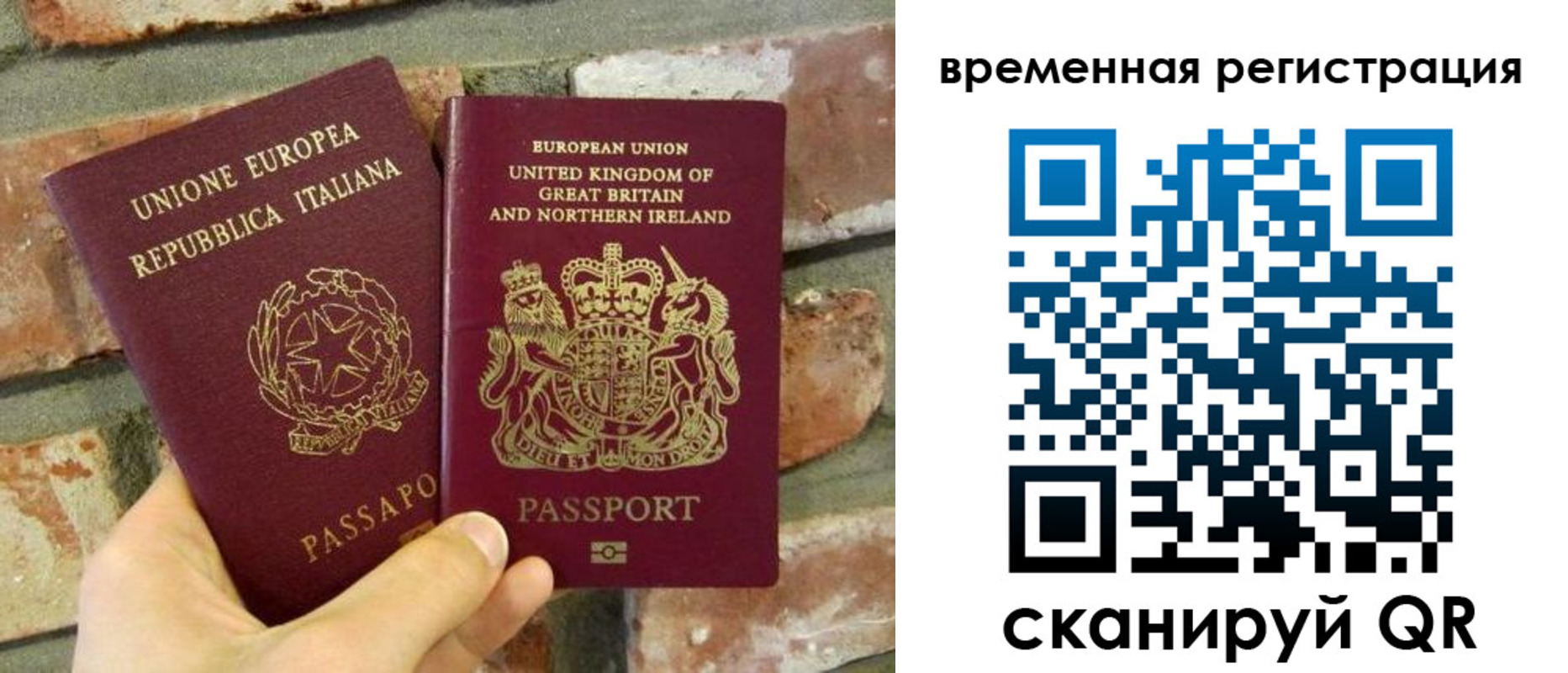 прописка для школы в Реже